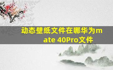 动态壁纸文件在哪华为mate 40Pro文件